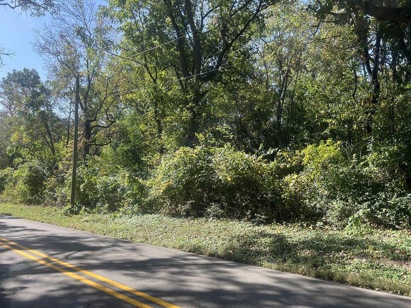 Lot 4 Mccornack Road Elgin, IL 60124 - Photo 4 of 6 a view of a yard with plants and large trees