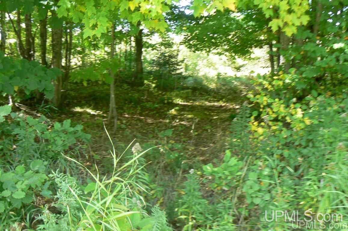 Tbd Johnson Road Chatham, MI 49816 - Photo 1 of 5