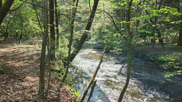 $123,500 | 1-2 3 Old Holywater Road, Tracy City, TN 37387