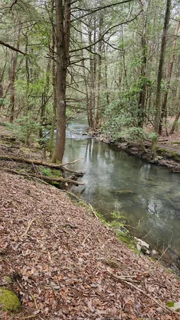 $123,500 | 1-2 3 Old Holywater Road, Tracy City, TN 37387