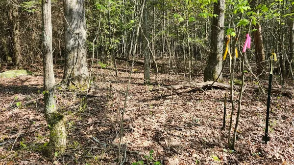 $123,500 | 1-2 3 Old Holywater Road, Tracy City, TN 37387