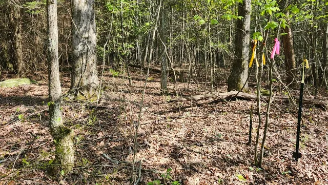 $123,500 | 1-2 3 Old Holywater Road, Tracy City, TN 37387