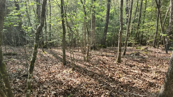 $123,500 | 1-2 3 Old Holywater Road, Tracy City, TN 37387
