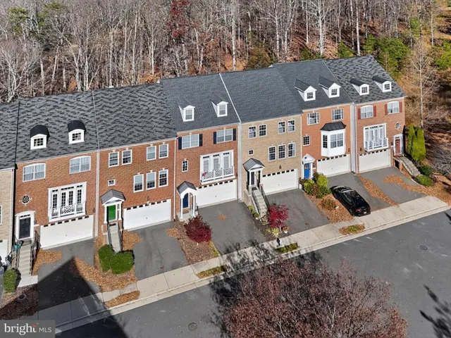 a view of a park with a large trees