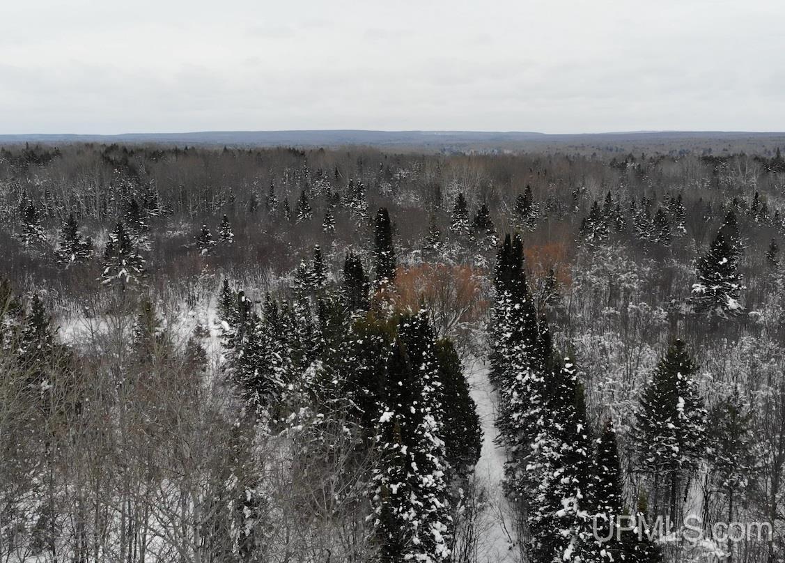 44415 South Road Toivola, MI 49965 - Photo 3 of 18 Gallery Image 3