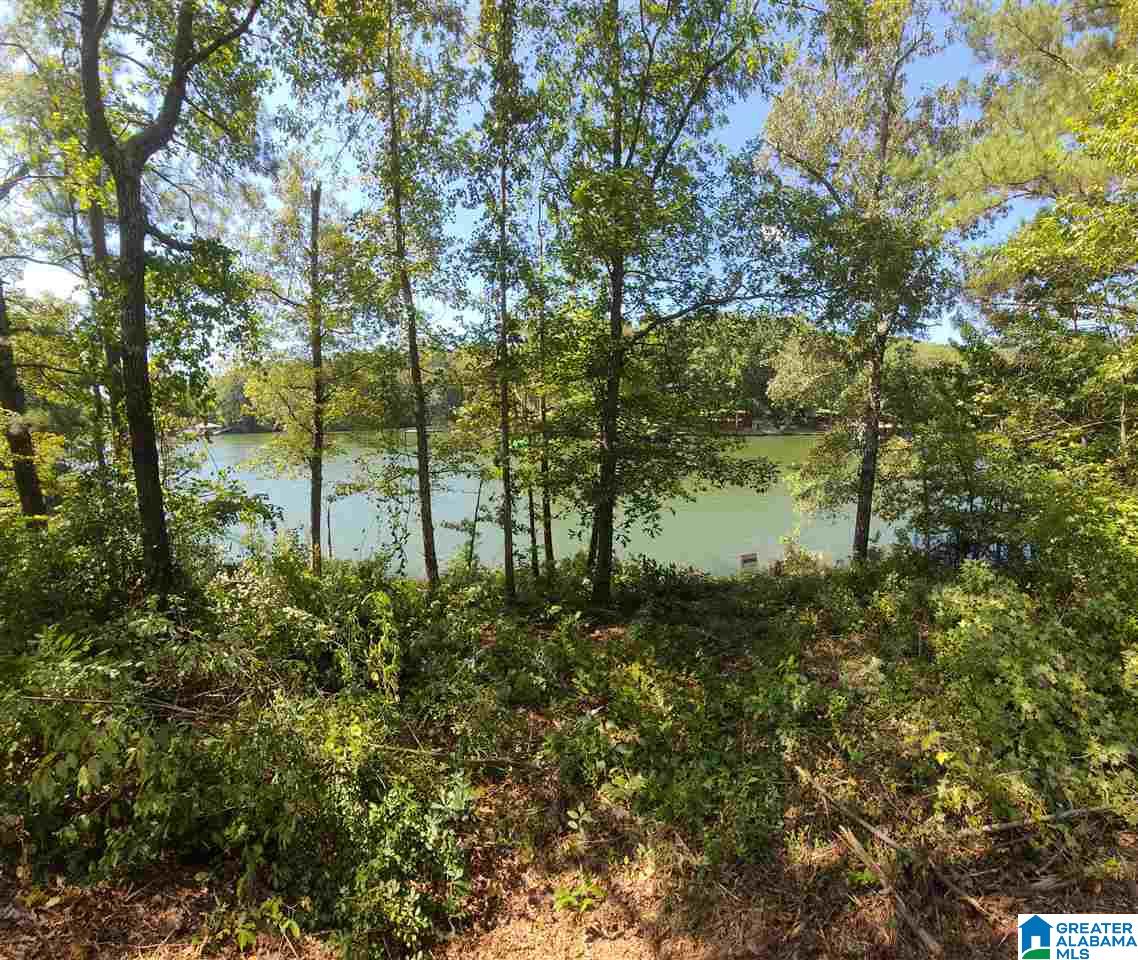 Pam Street, Unit 1 Wedowee, AL 36278 - Photo 5 of 9