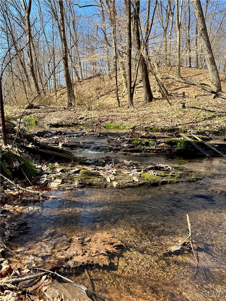 Pleasant View Road Coopersburg, PA 18036 - Photo 1 of 11 Magical creeks merge in the rear of the land