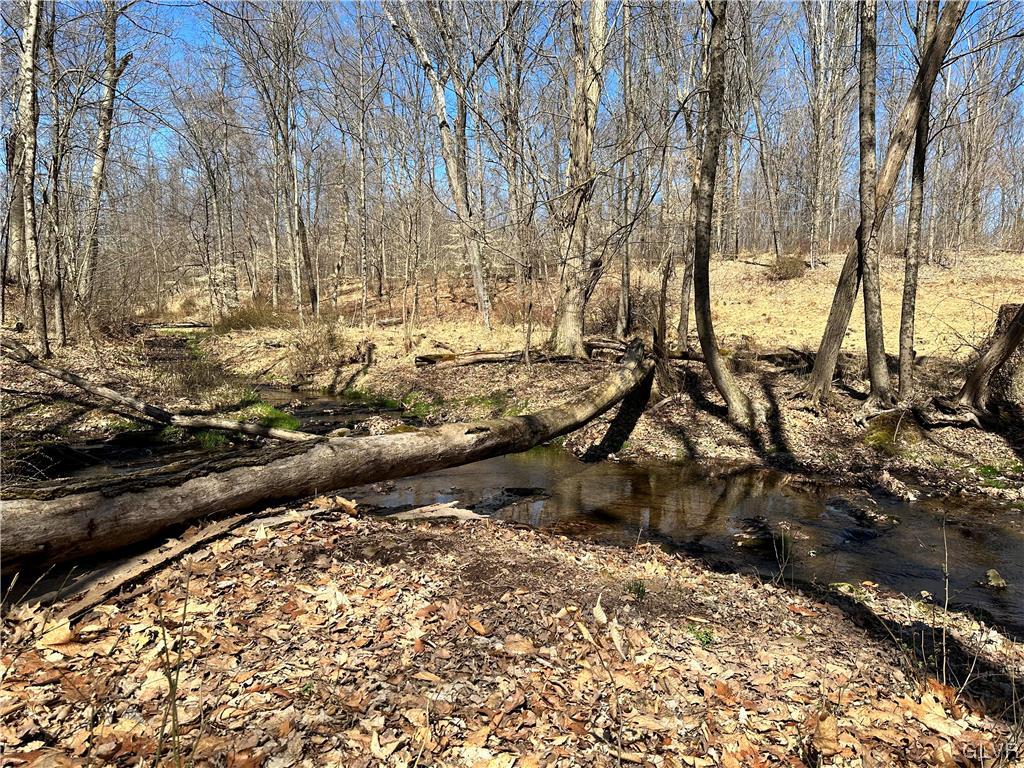 Pleasant View Road Coopersburg, PA 18036 - Photo 10 of 11 Gallery Image 10