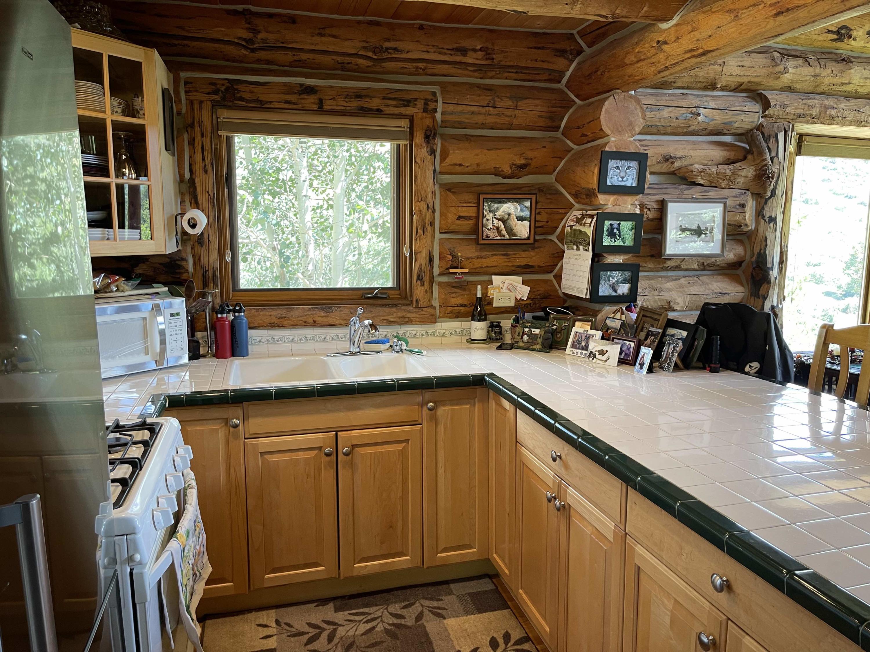 2001 58P Road Placerville, CO 81430 - Photo 11 of 34 a kitchen with stainless steel appliances granite countertop a sink a stove and a wooden cabinets