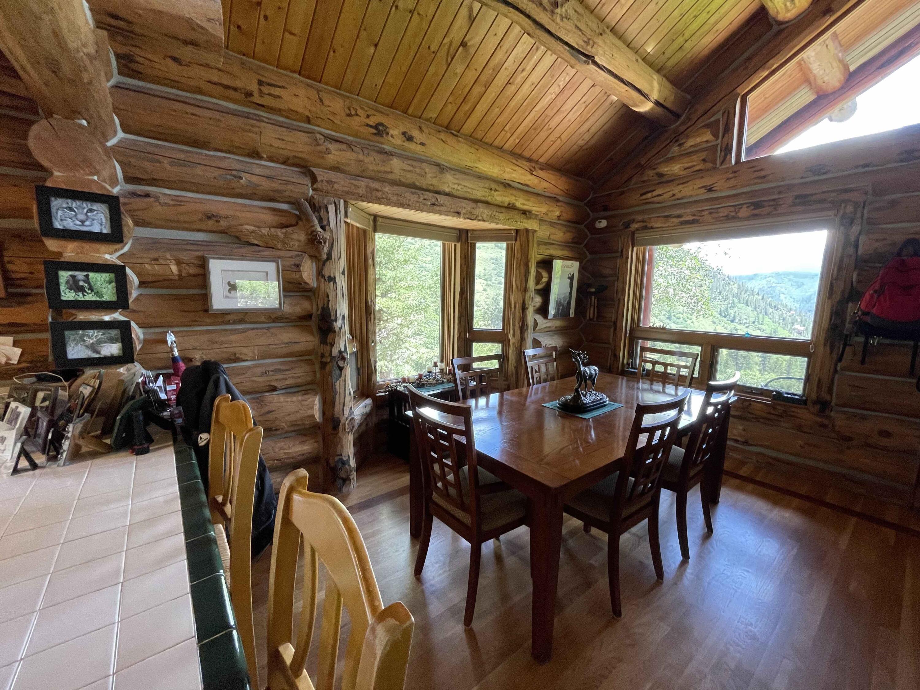 2001 58P Road Placerville, CO 81430 - Photo 9 of 34 a view of a dining room with furniture window and outside view