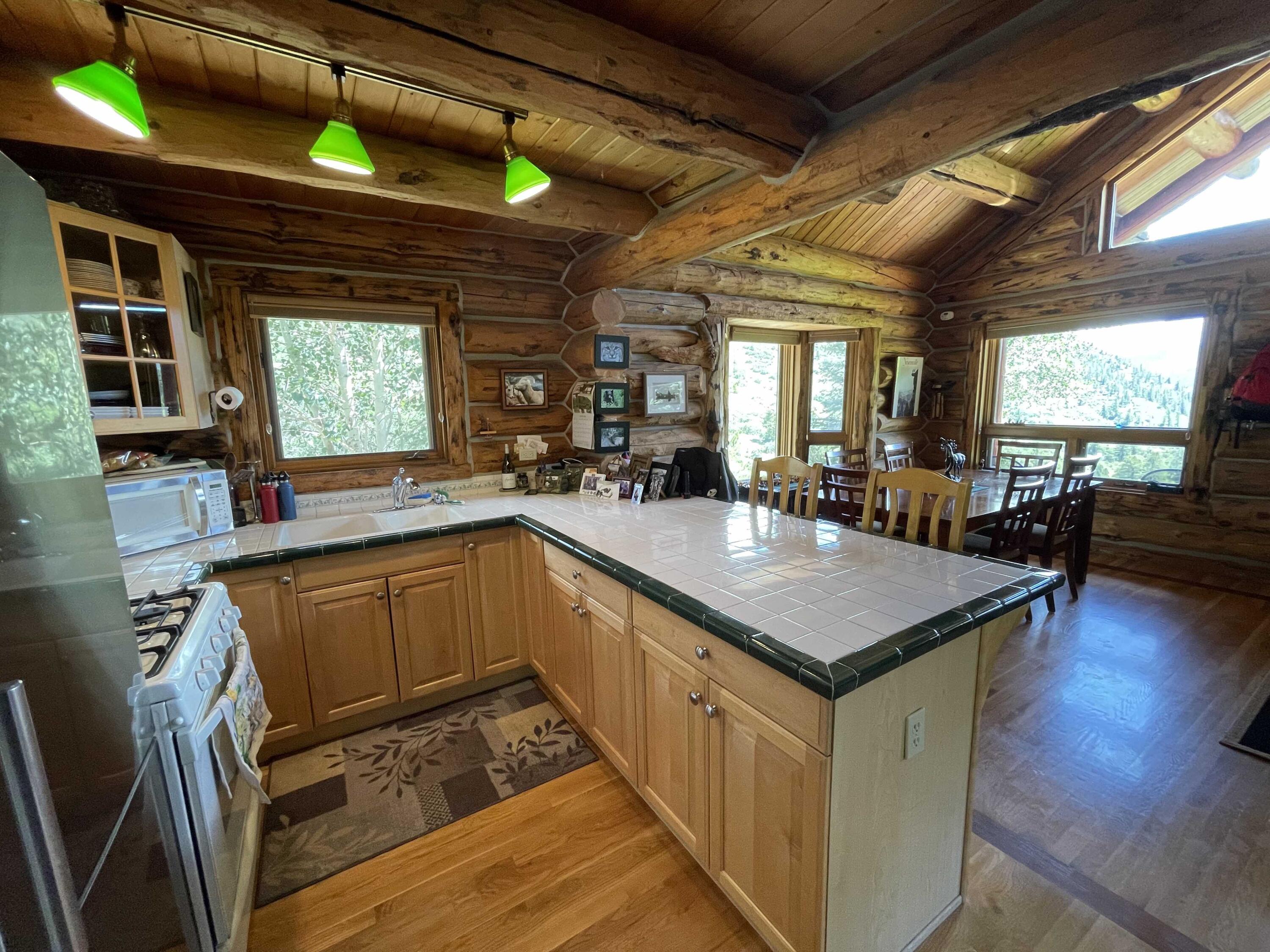 2001 58P Road Placerville, CO 81430 - Photo 10 of 34 a kitchen with stainless steel appliances granite countertop a table chairs and a wooden cabinets