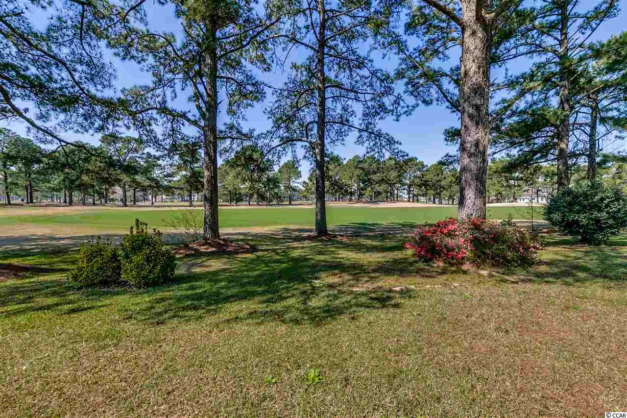 3771 Rice Hope Court Myrtle Beach, SC 29577 - Photo 4 of 19 Gallery Image 4