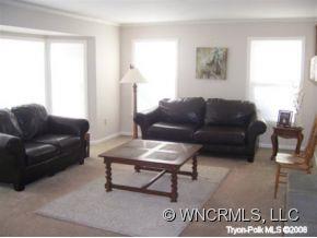 2515 Hunting Country Road Tryon, NC 28782 - Photo 4 of 9