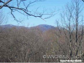 2515 Hunting Country Road Tryon, NC 28782 - Photo 9 of 9