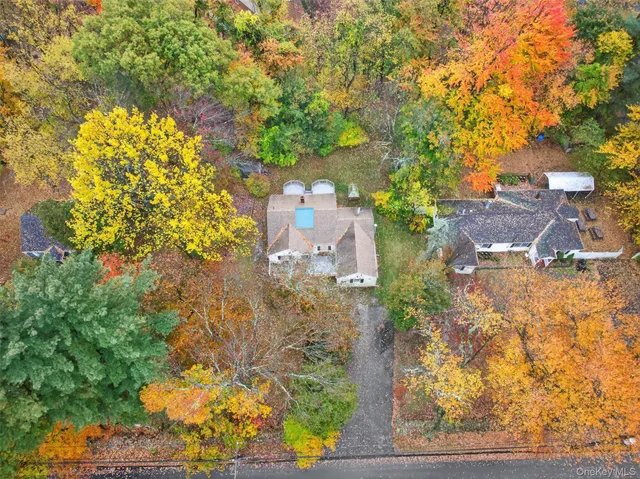 a view of a yard with plants