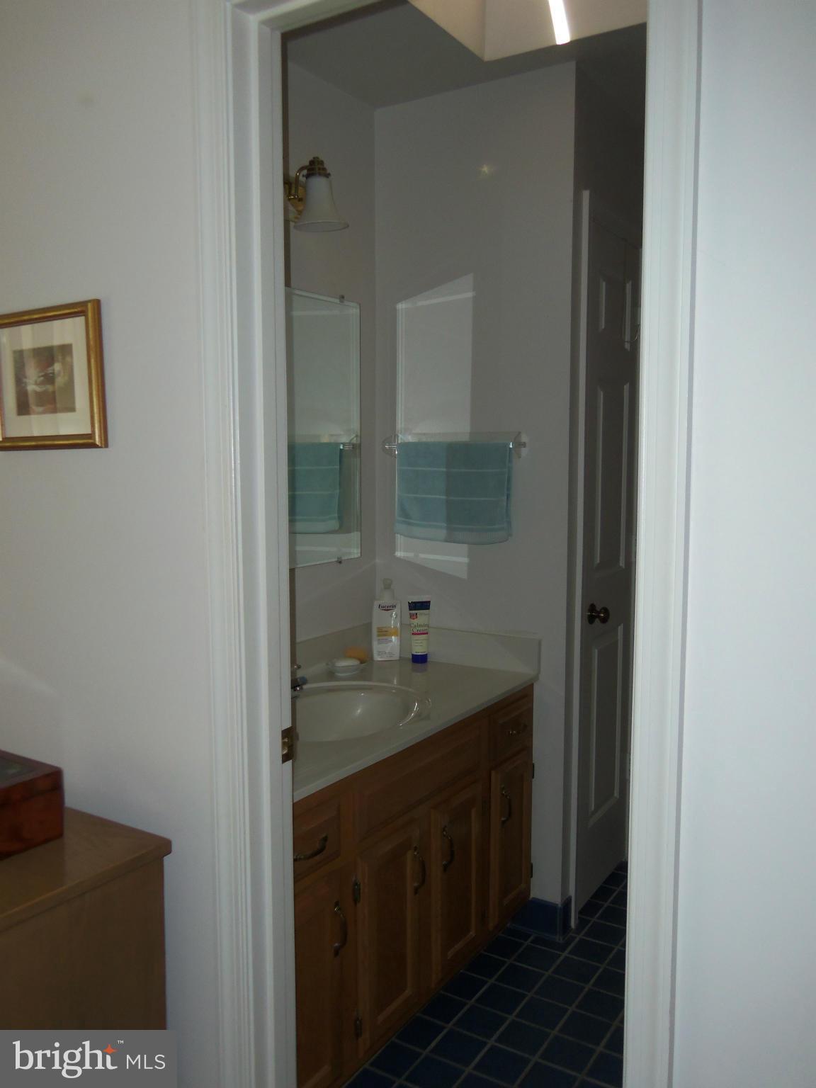 5294 Germantown Road Midland, VA 22728 - Photo 19 of 30 FLORIDA TILE, SKYLIGHT SHOWER/TUB