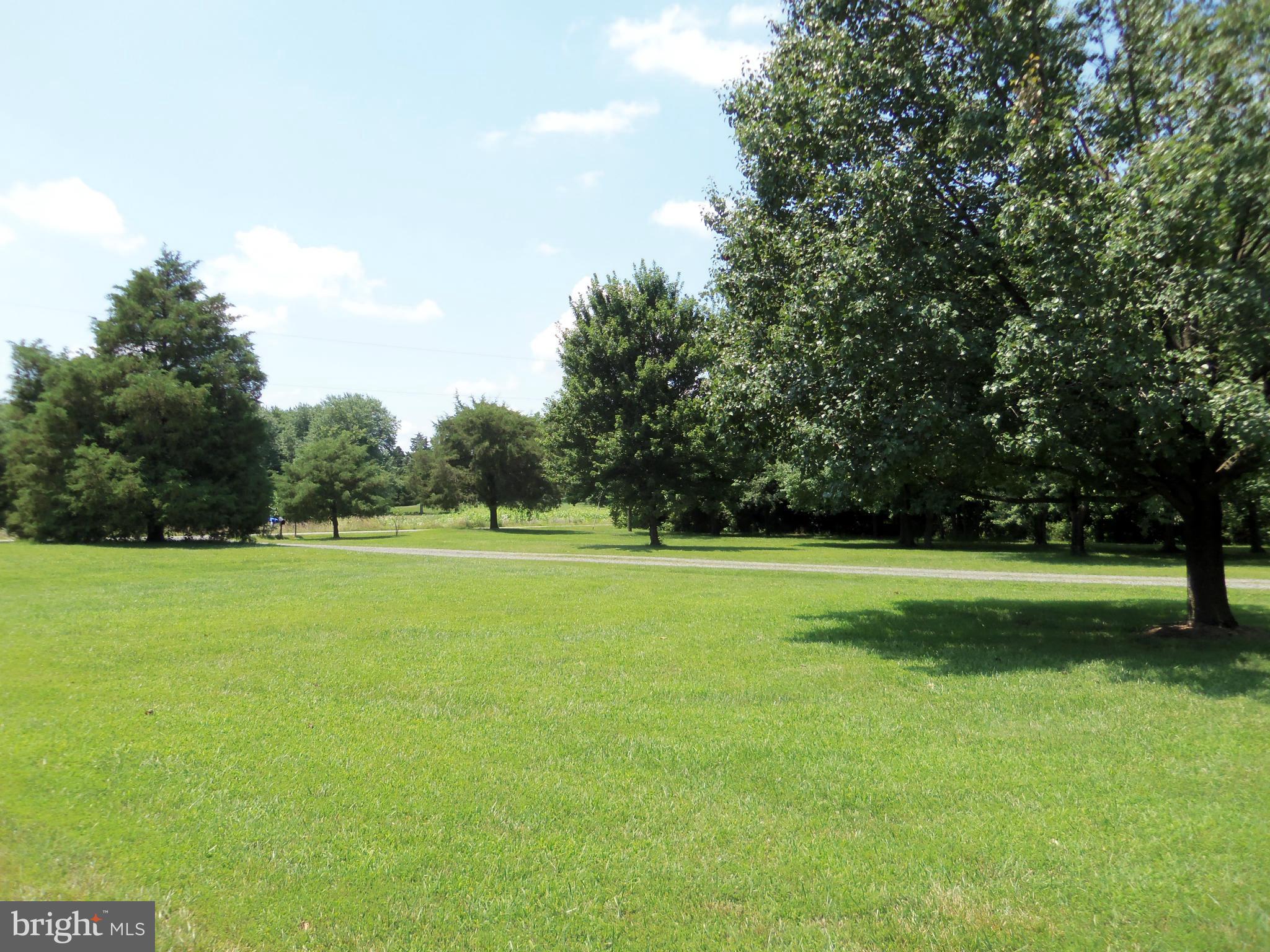 5294 Germantown Road Midland, VA 22728 - Photo 23 of 30 DRIVEWAY