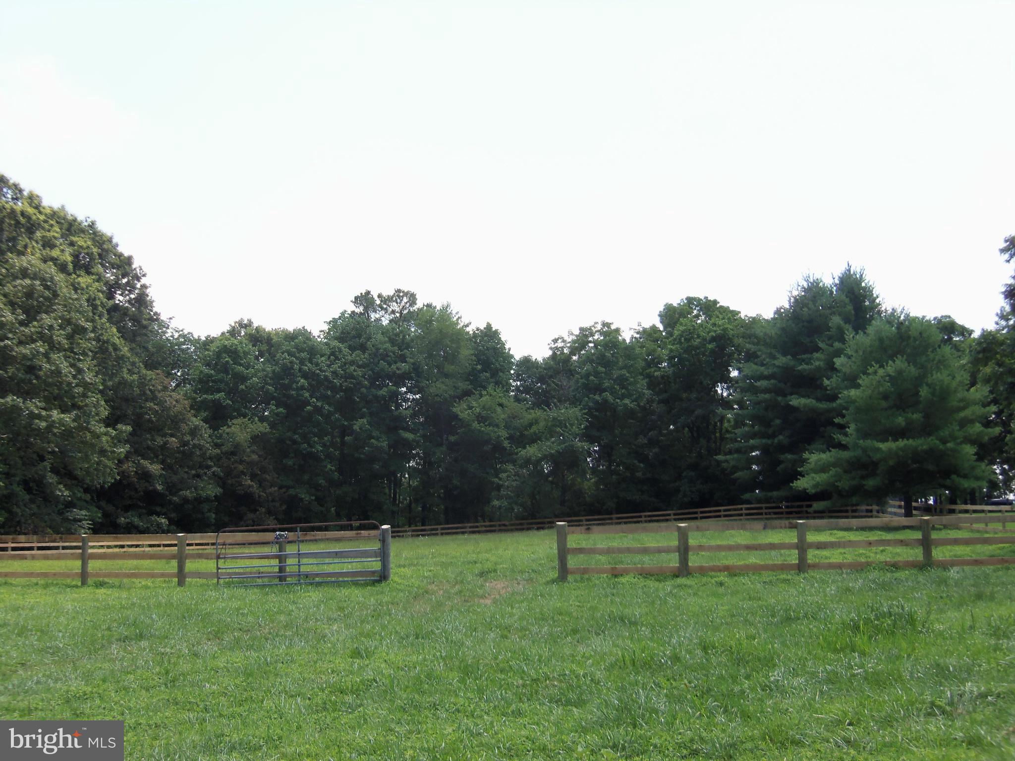 5294 Germantown Road Midland, VA 22728 - Photo 28 of 30 PASTURE-EXCELLENT GRASS