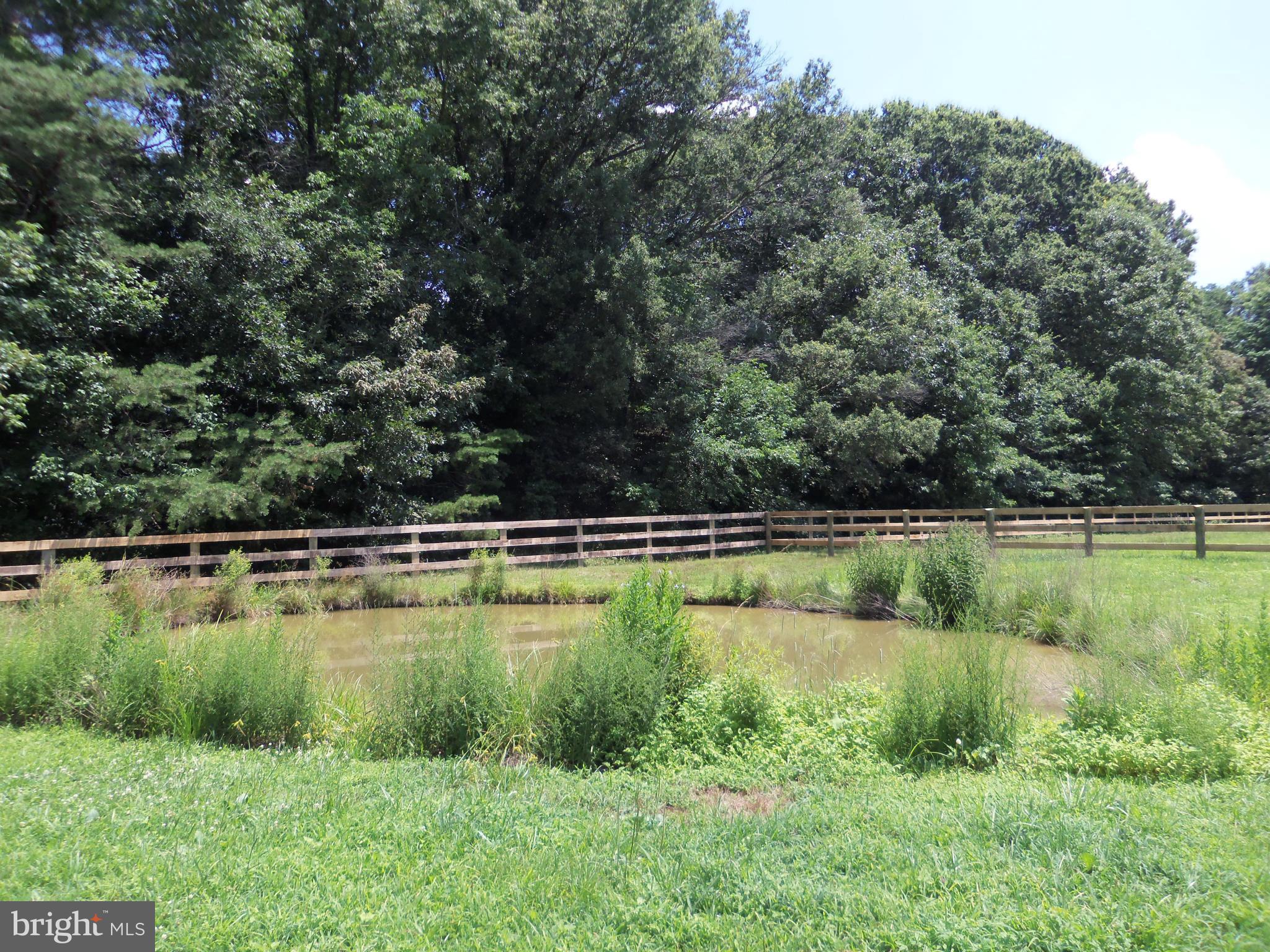 5294 Germantown Road Midland, VA 22728 - Photo 29 of 30 POND