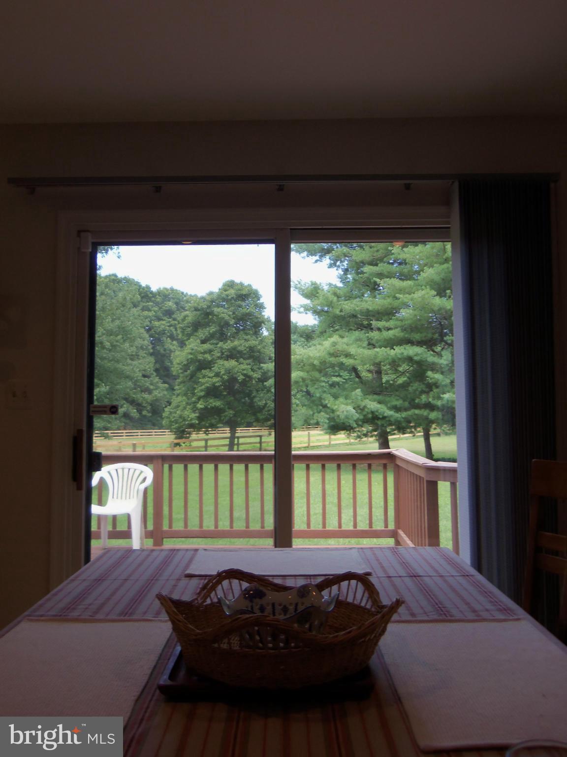 5294 Germantown Road Midland, VA 22728 - Photo 10 of 30 PRIVATE VIEW