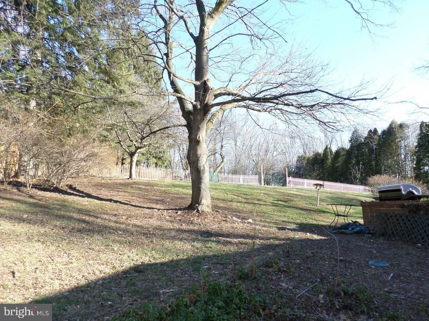 271 Shelbourne Road Birdsboro, PA 19508 - Photo 7 of 14 Back Yard