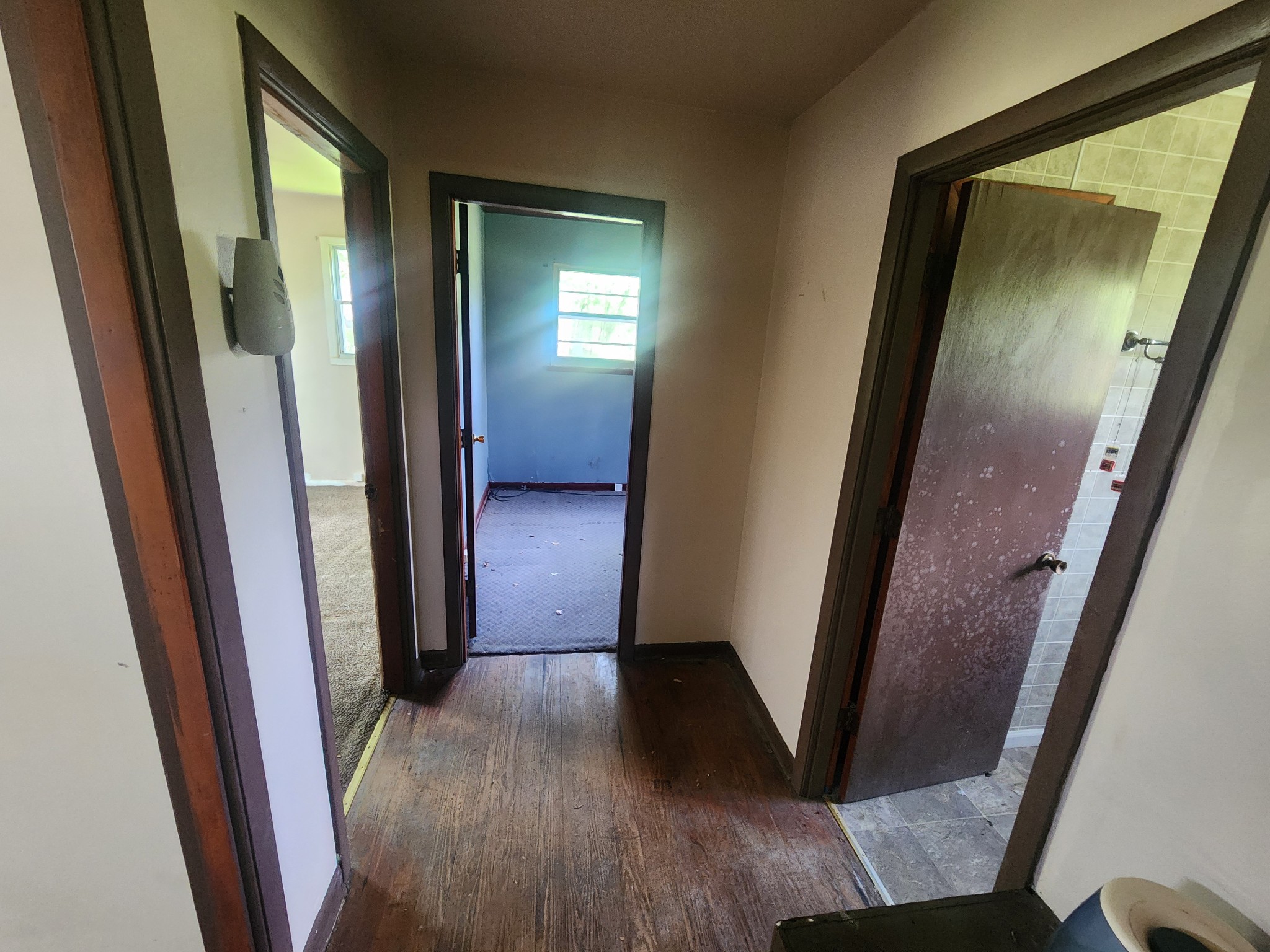 76 Boyds Landing Road Cadiz, KY 42211 - Photo 8 of 21