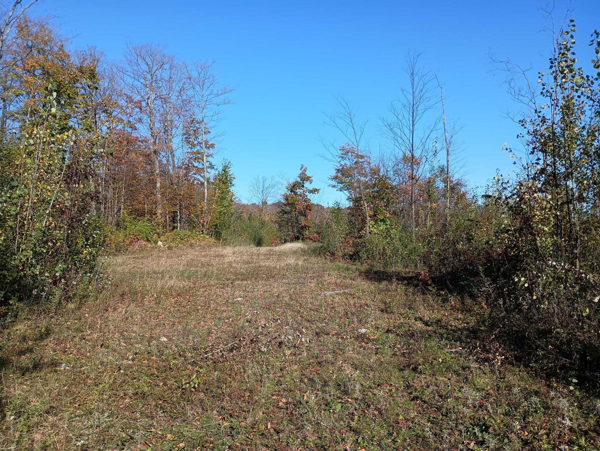 On Kornstead Road, Unit 80 AC Mellen, WI 54546 - Photo 19 of 32 Gallery Image 19
