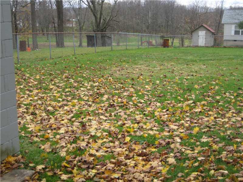 459 South Eighty Eight Road Carmichaels, PA 15320 - Photo 4 of 18 Yard/Garden.
