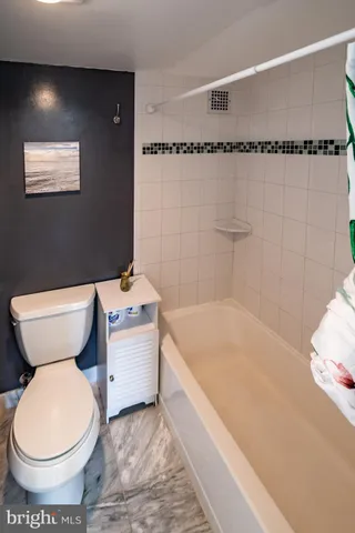 a bathroom with a toilet and a bathtub