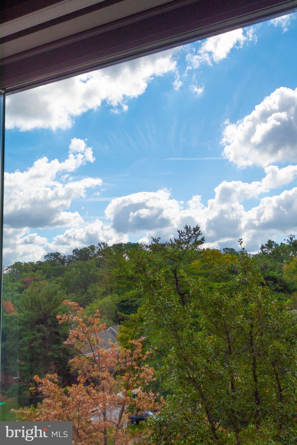 1225 Martha Custis Drive, Unit 502 Alexandria, VA 22302 - Photo 15 of 24 a view of a yard