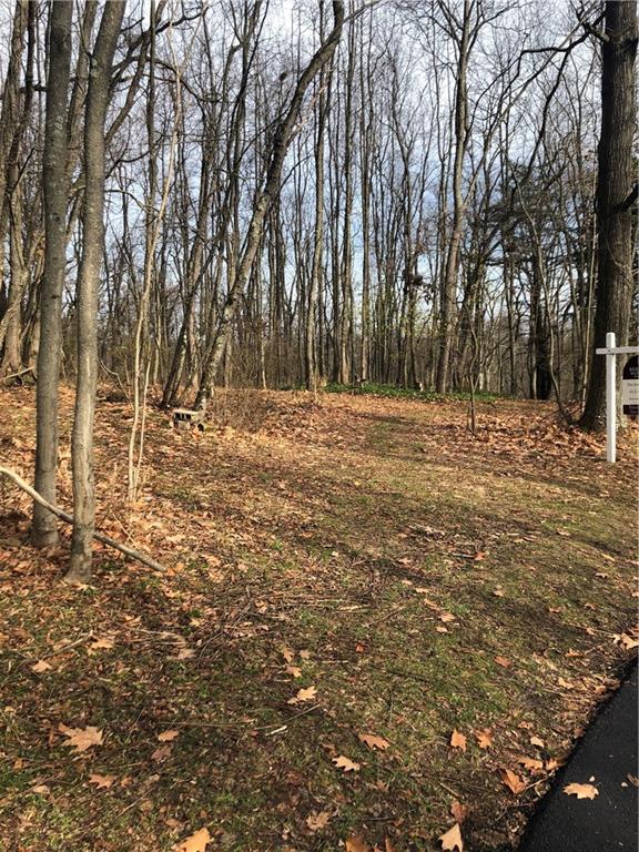 Lot 21 Nagy Road Cheswick, PA 15024 - Photo 1 of 9 Gallery Image 1