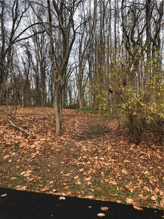 Lot 21 Nagy Road Cheswick, PA 15024 - Photo 4 of 9 Gallery Image 4