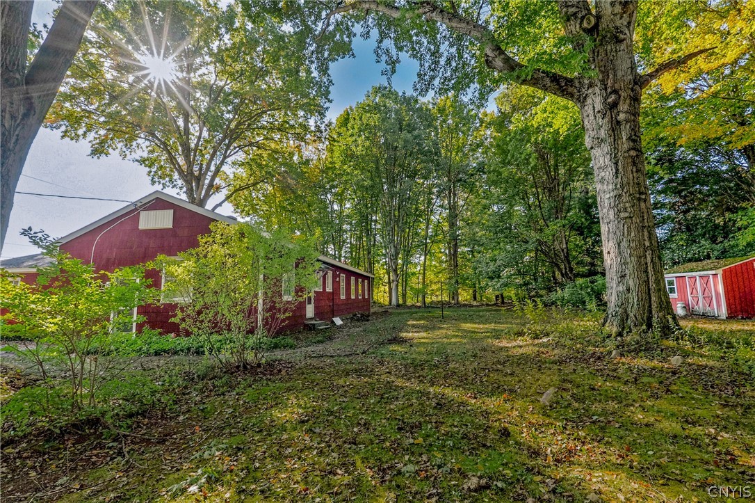 7779 Bell Road North Rome, NY 13440 - Photo 37 of 38 Mature trees shade a spacious grassy yard bordering a rustic red building and matching storage shed.