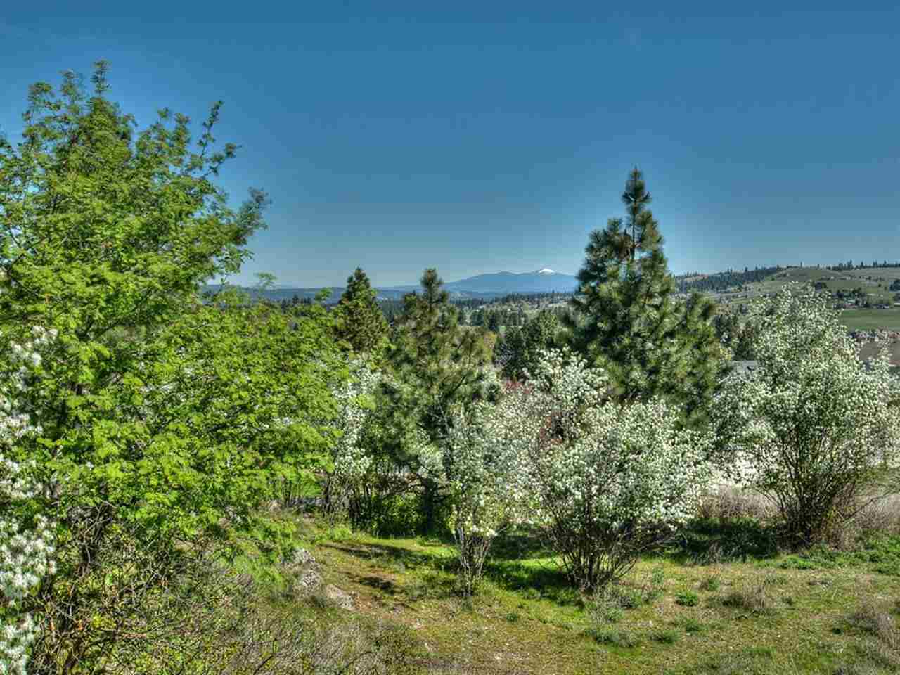5010 South Dearborn Road Spokane, WA 99223 - Photo 19 of 20 Gallery Image 19