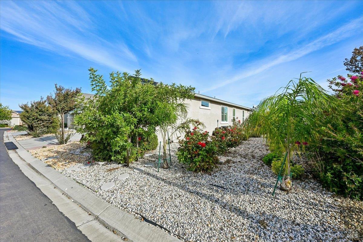 236 Shearwater Drive Rio Vista, CA 94571 - Photo 42 of 54