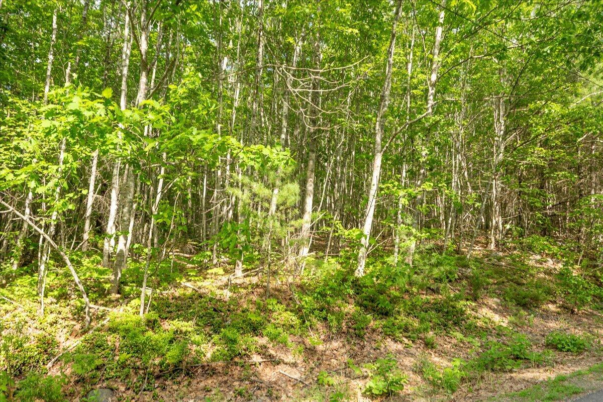 680-686 Beech Hill Road Northport, ME 04849 - Photo 4 of 20 1-Beech Hill-1