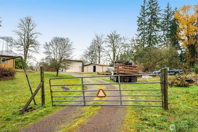 a view of a park with large trees