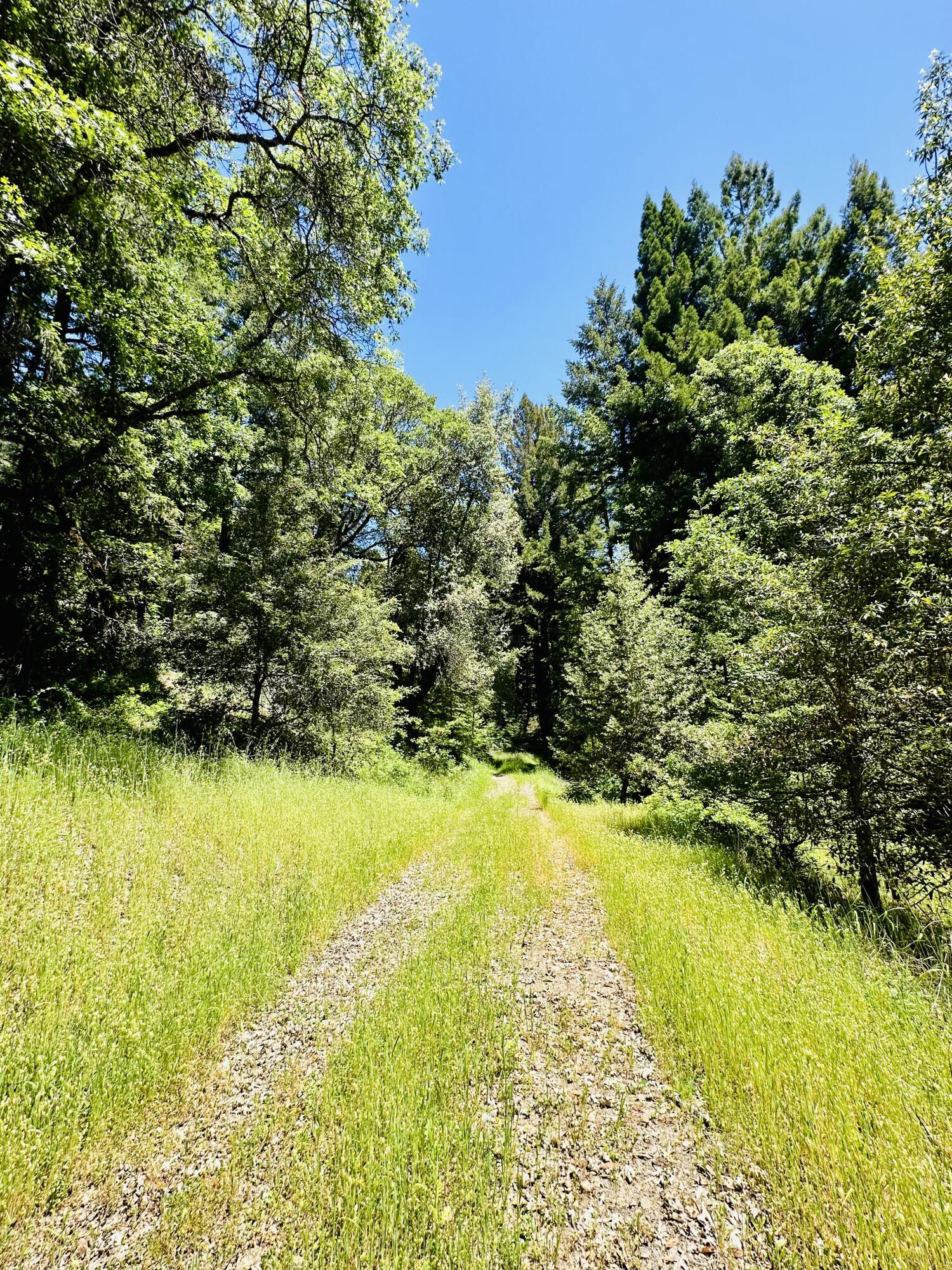 400 Seely Creek Road Redway, CA 95560 - Photo 39 of 73