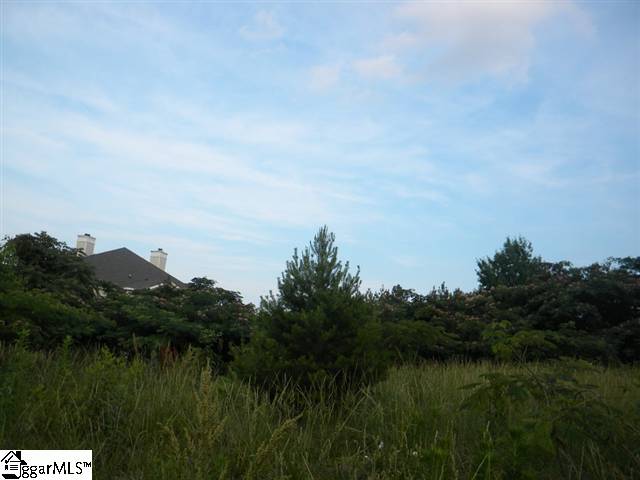 0 Butler Springs Road Greenville, SC 29615 - Photo 1 of 1 Gallery Image 1