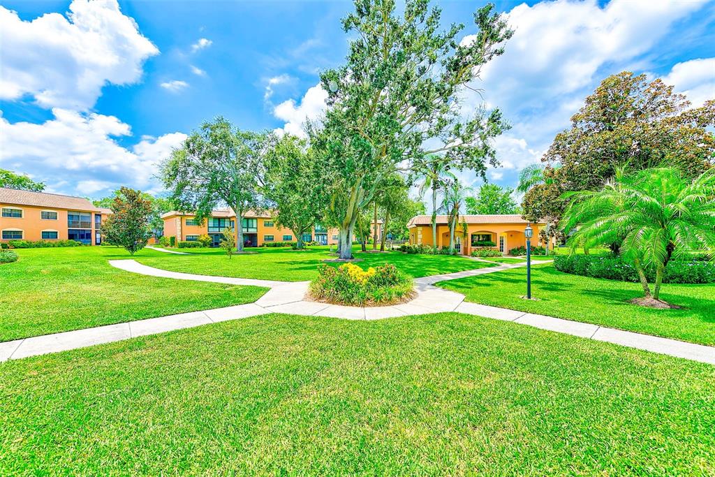 12900 Vonn Road, Unit E205 Largo, FL 33774 - Photo 29 of 35 a view of a house with a big yard and large trees