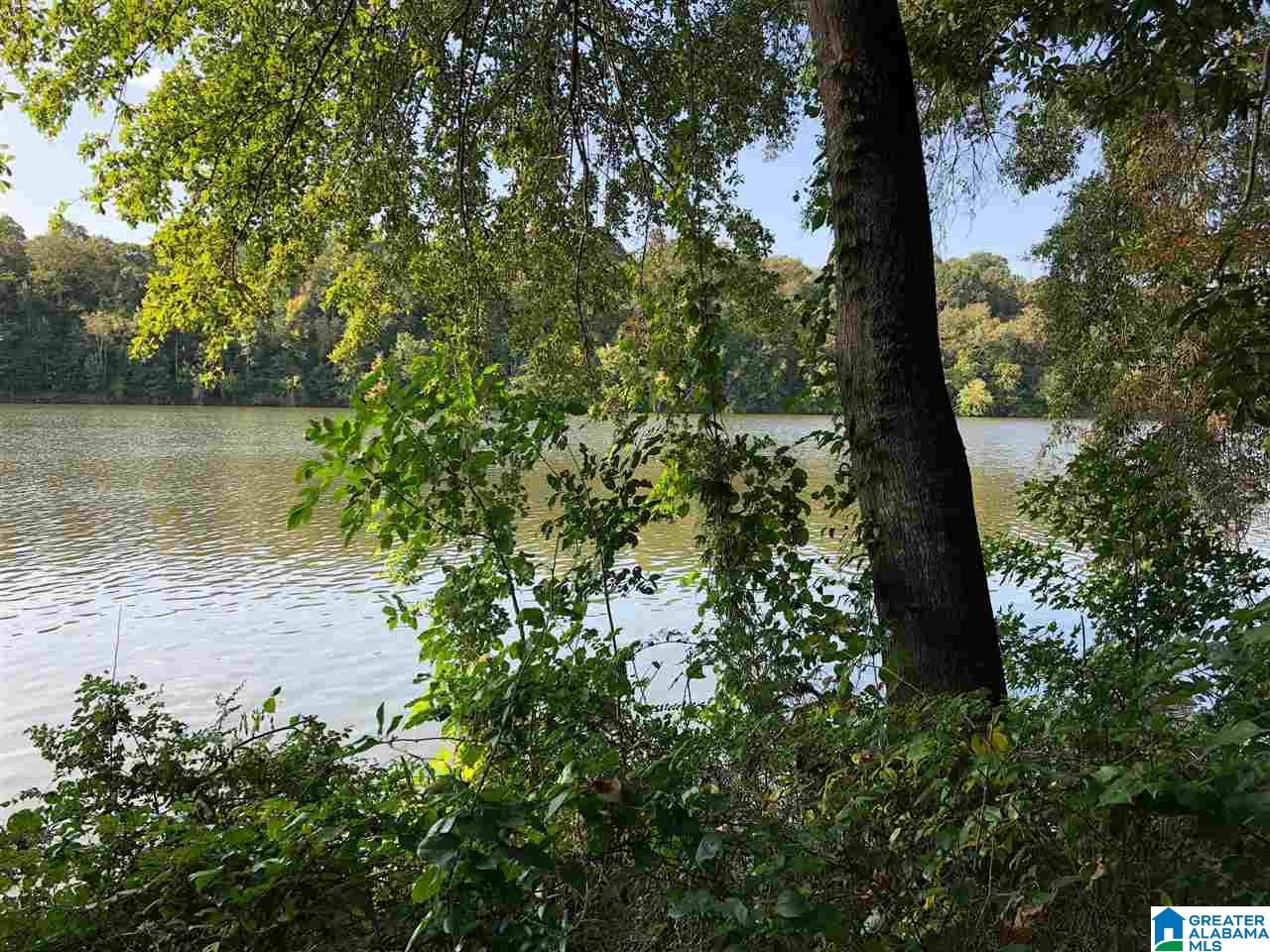 0 Brooks Road Ragland, AL 35131 - Photo 23 of 49