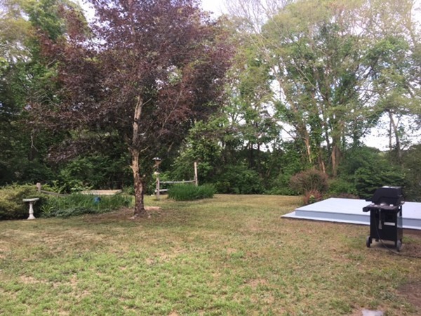 41 Diandy Road Bourne, MA 02562 - Photo 16 of 17 a backyard of a house with a table and chairs