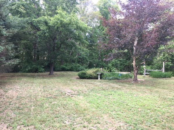 41 Diandy Road Bourne, MA 02562 - Photo 17 of 17 a backyard of a house with lots of green space