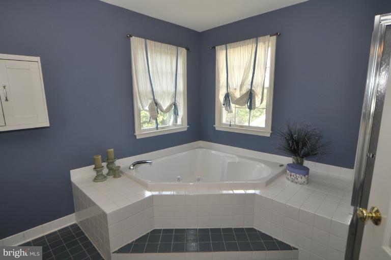 10874 Hunter Gate Way Reston, VA 20194 - Photo 13 of 30 Bath (Master)