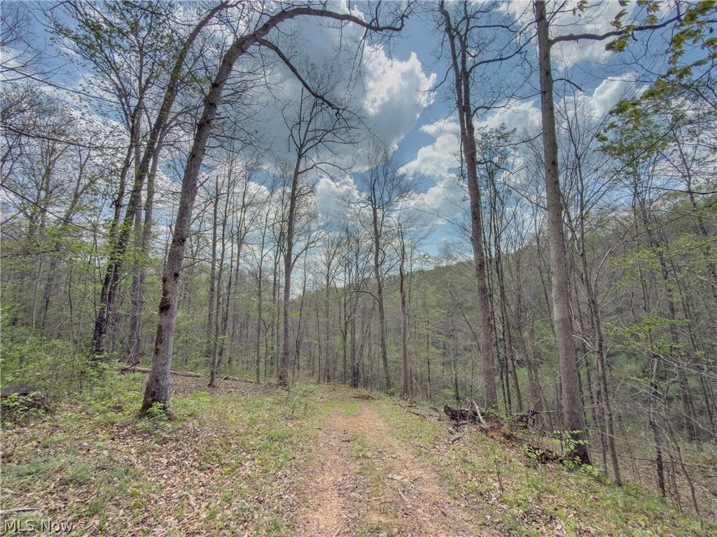 Beardmore Road Wingett Run, OH 45789 - Photo 33 of 43