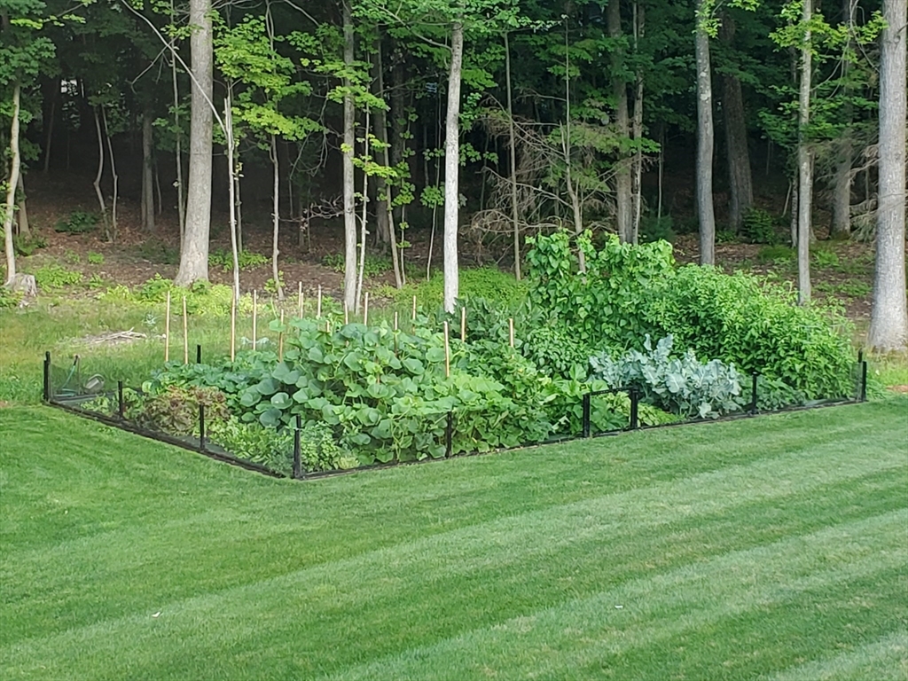 16 Village Road Pepperell, MA 01463 - Photo 33 of 40