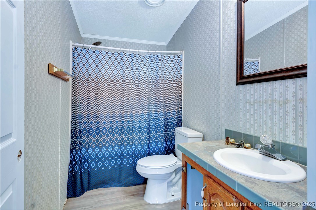 2589 Pleasant Hope Road Fairmont, NC 28340 - Photo 29 of 36 a bathroom with a sink a toilet and a mirror