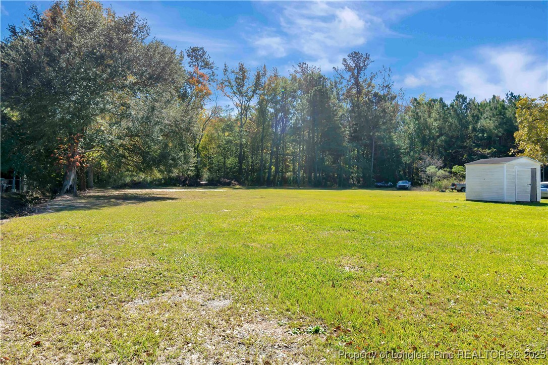 2589 Pleasant Hope Road Fairmont, NC 28340 - Photo 34 of 36 a view of a swimming pool and trees in the background
