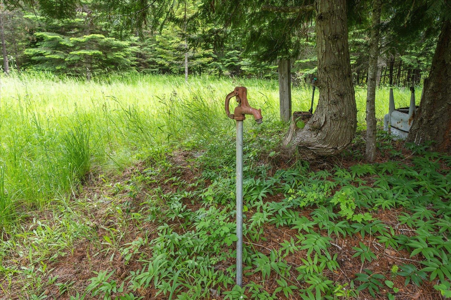 960 Hope Road Newport, WA 99156 - Photo 3 of 24 Gallery Image 3