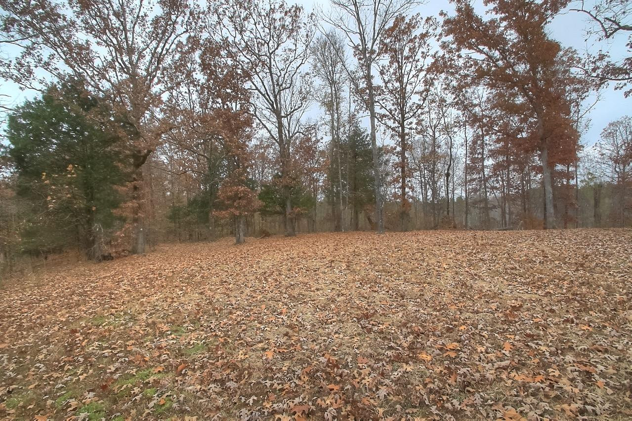 47 Pinney Wood Road Cadiz, KY 42211 - Photo 18 of 20 Photo 18